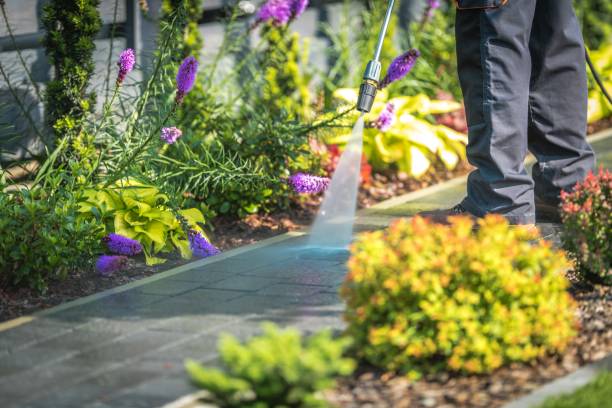 Best Spring Cleaning  in East Norwich, NY